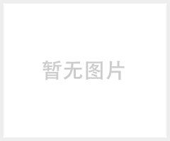 97系列过载保护器